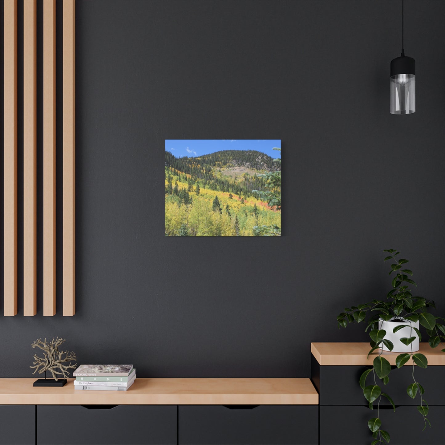 Guanella Pass Colorado Fall Colors Mountain Canvas