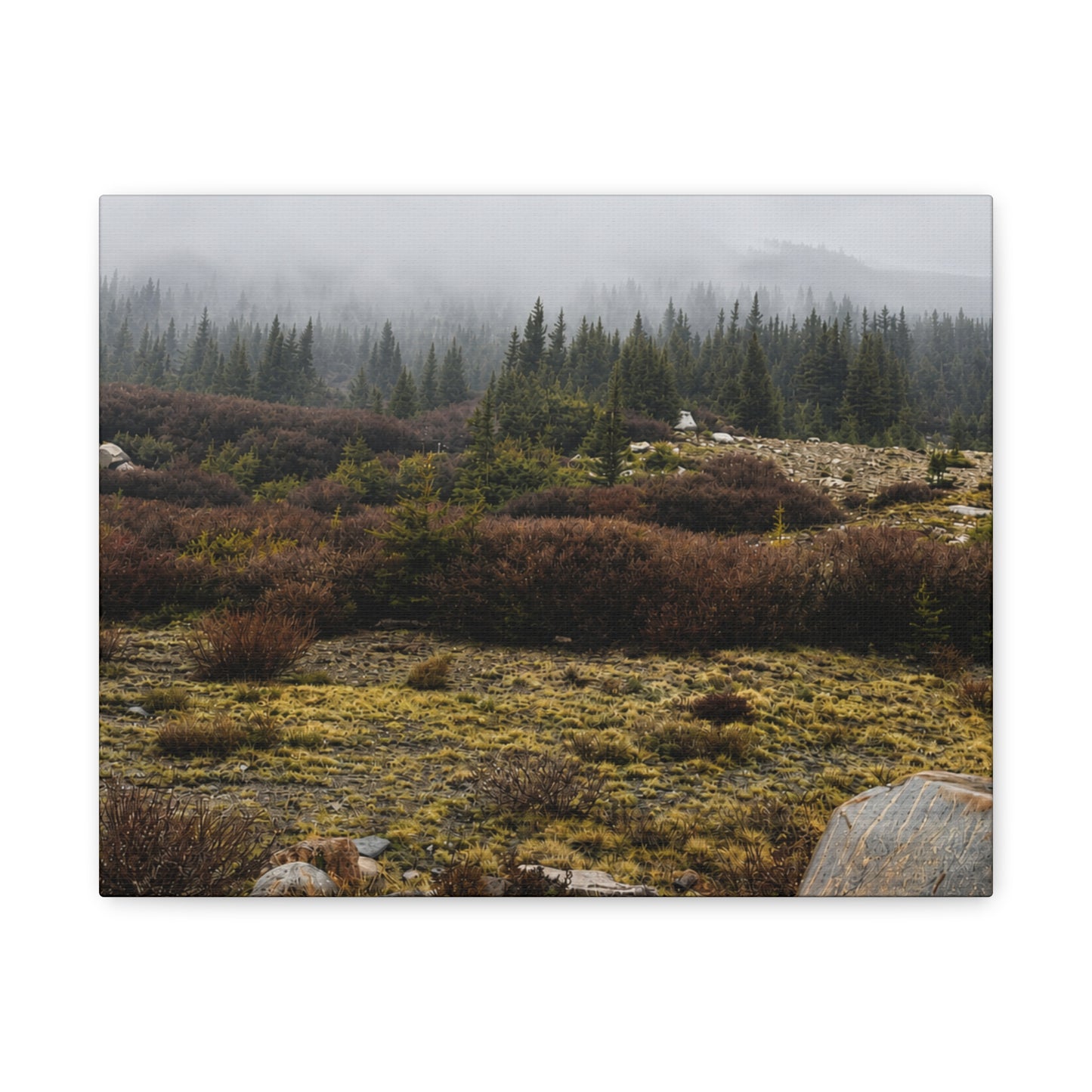 Misty Mountain Meadow Canvas Print — Stretched Matte Nature Wall Art