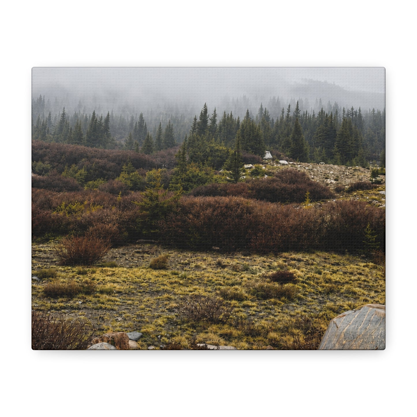 Misty Mountain Meadow Canvas Print — Stretched Matte Nature Wall Art
