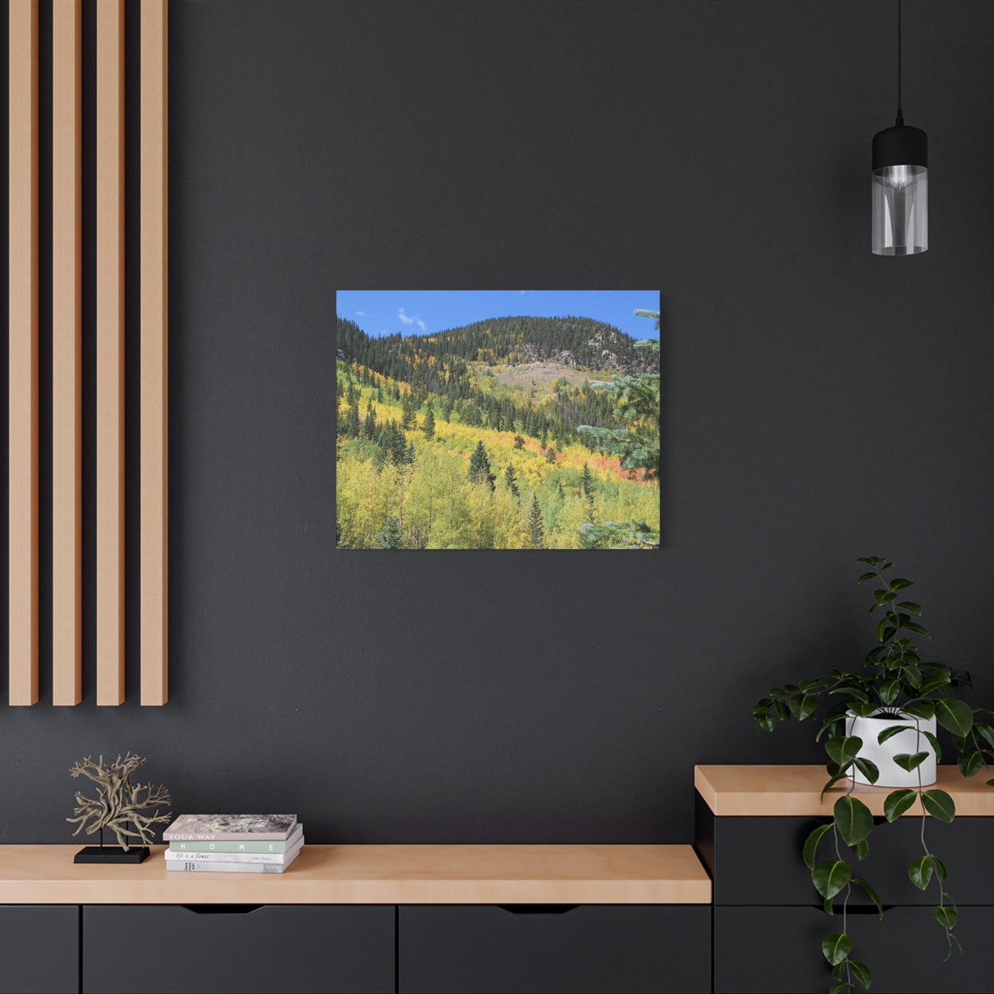 Guanella Pass Colorado Fall Colors Mountain Canvas