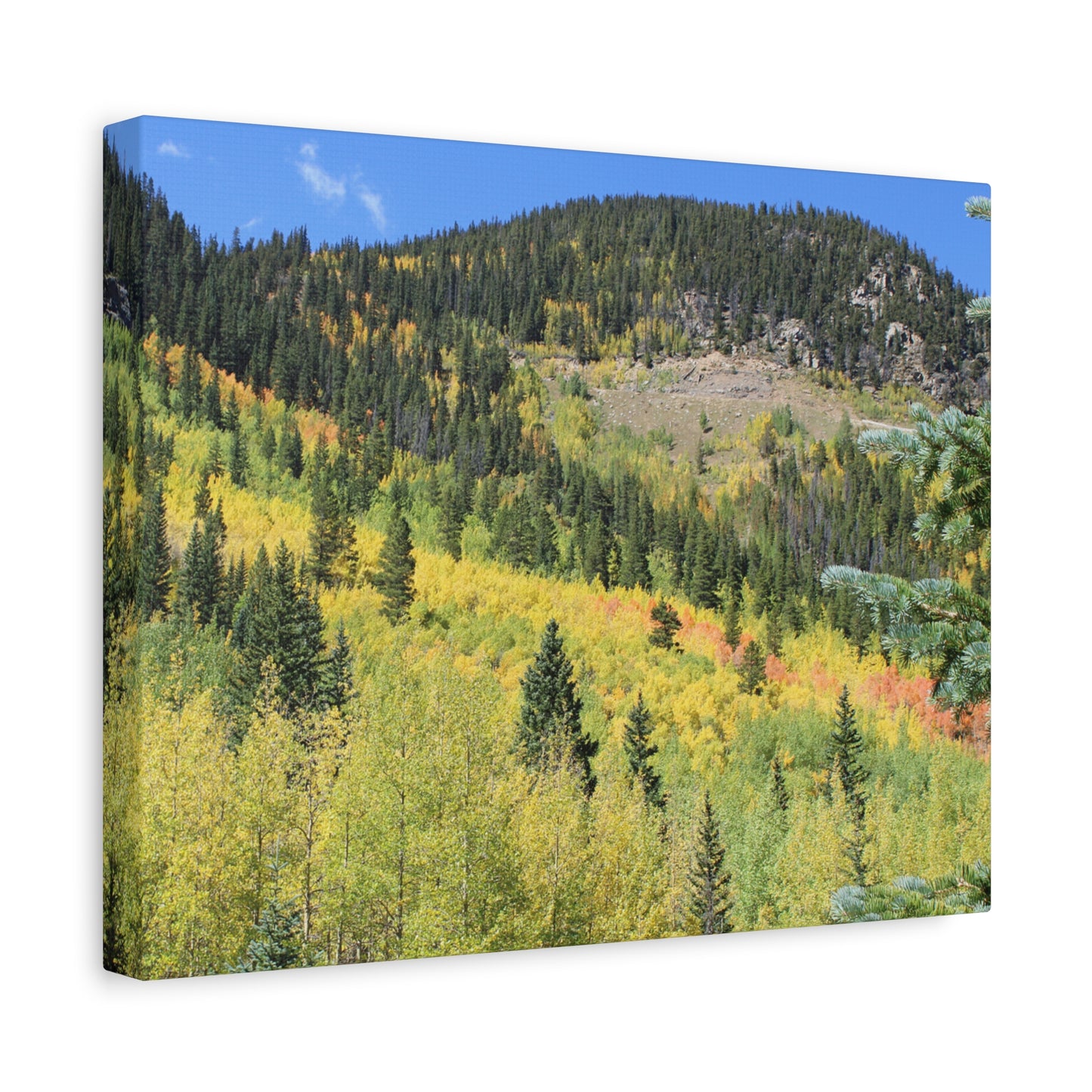 Guanella Pass Colorado Fall Colors Mountain Canvas