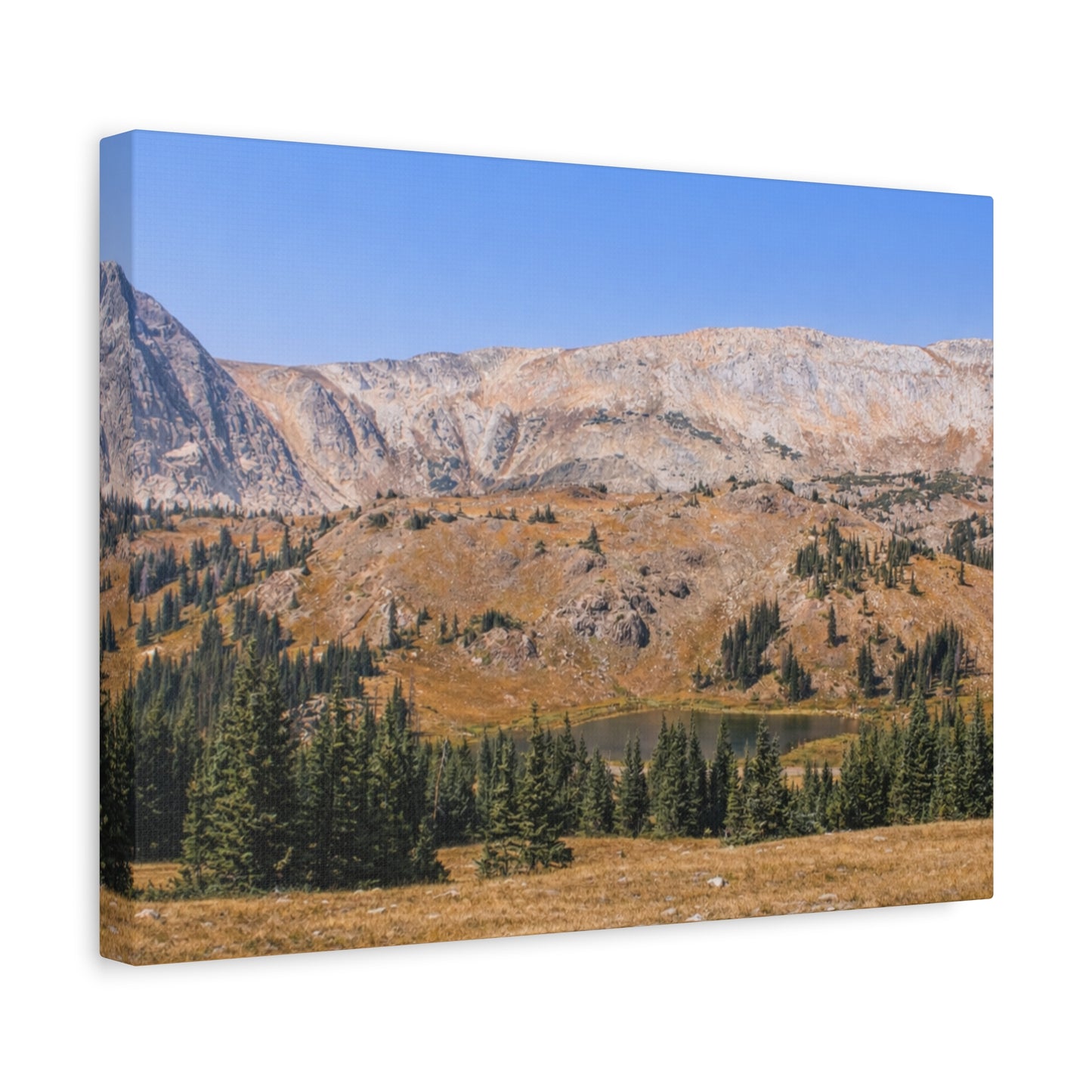 Snowy Range Wyoming  Matte Canvas Print - Stretched 1.25" Wall Art
