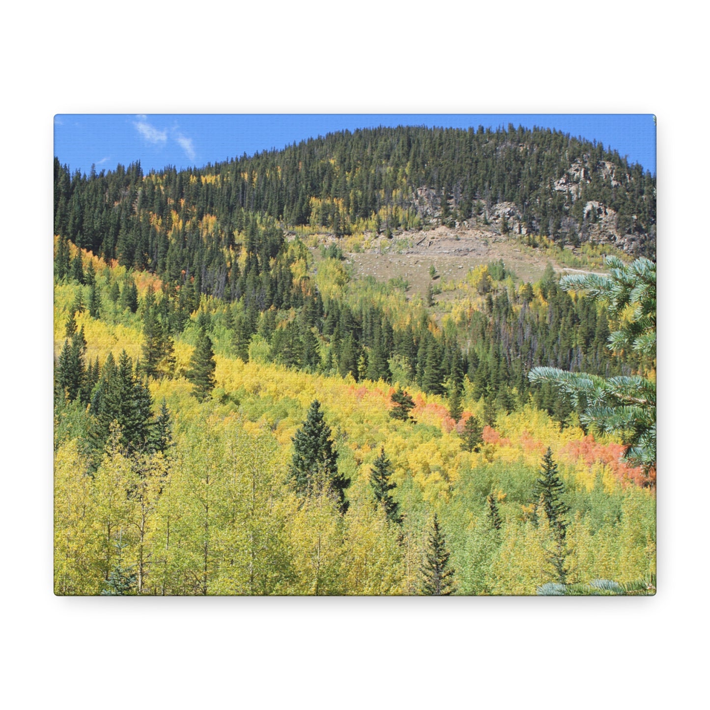 Guanella Pass Colorado Fall Colors Mountain Canvas