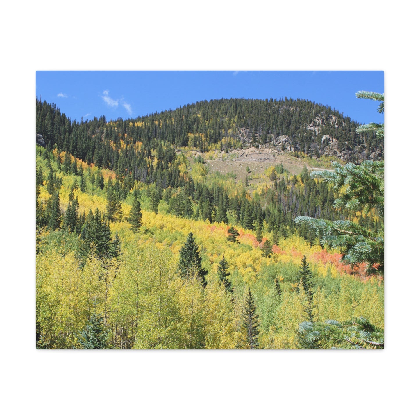 Guanella Pass Colorado Fall Colors Mountain Canvas
