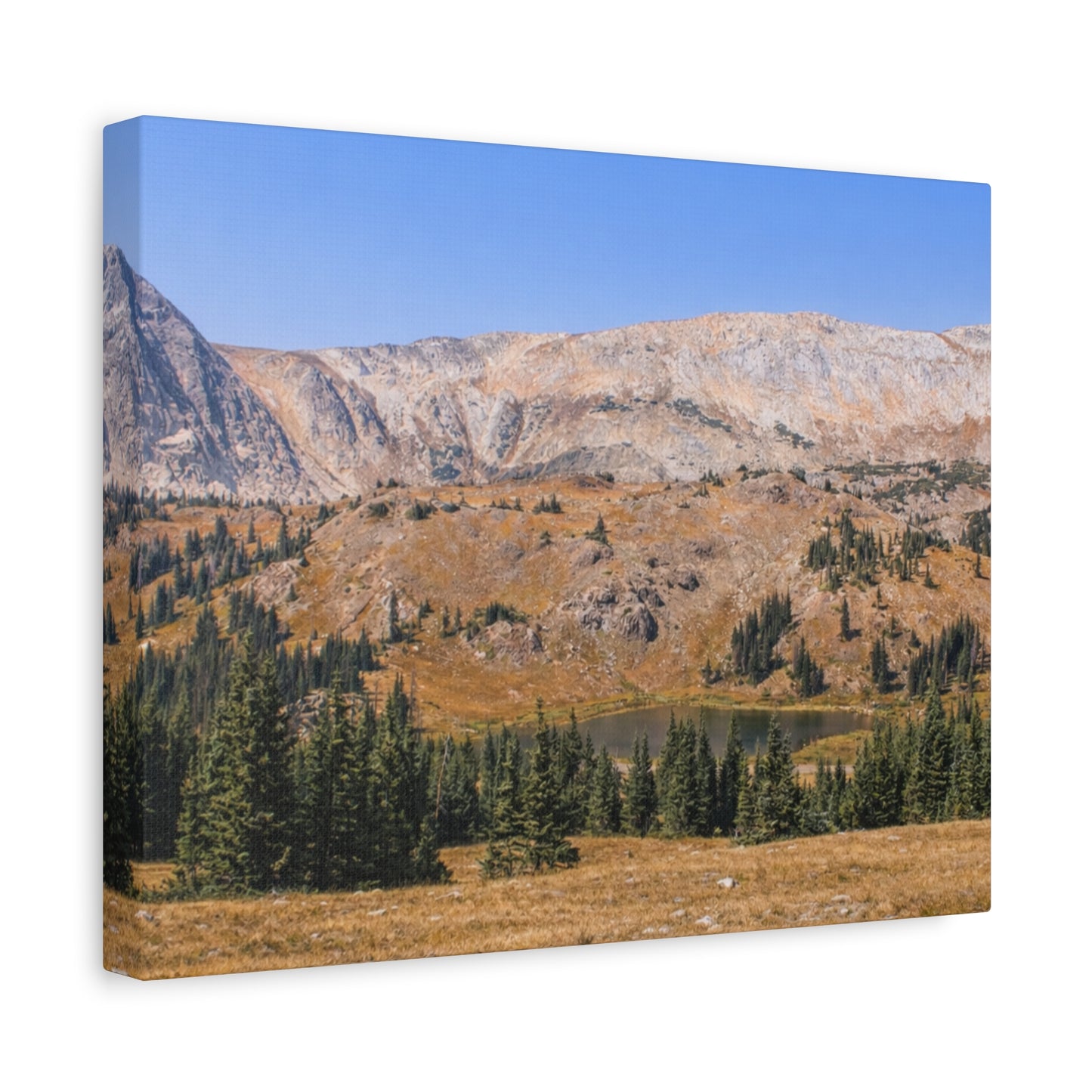 Snowy Range Wyoming  Matte Canvas Print - Stretched 1.25" Wall Art