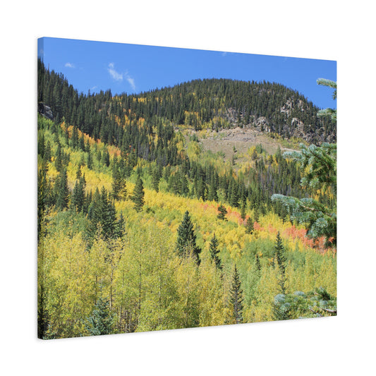 Guanella Pass Colorado Fall Colors Mountain Canvas