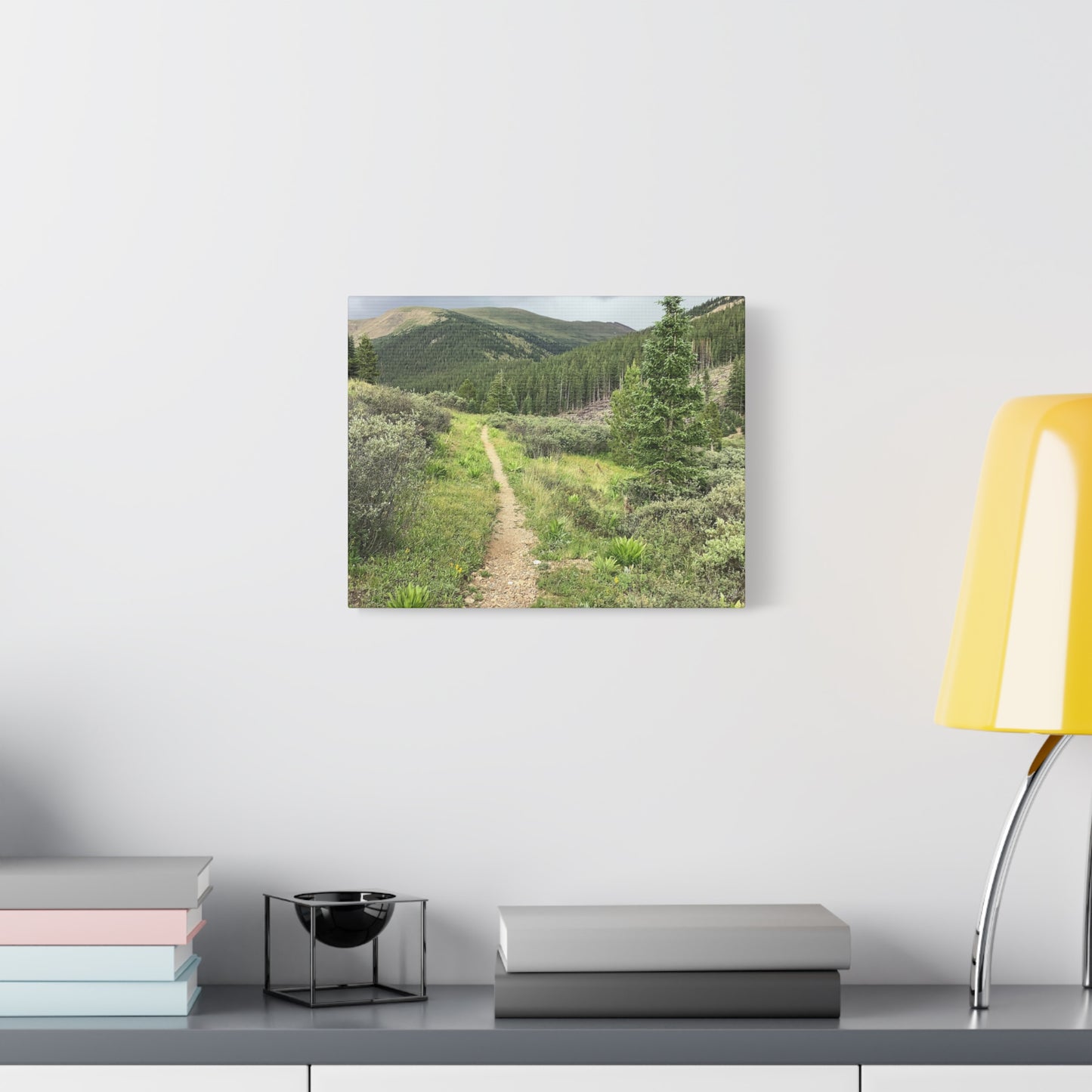 Independence Pass Colorado Trail Canvas Print — Scenic Hiking Landscape Wall Art