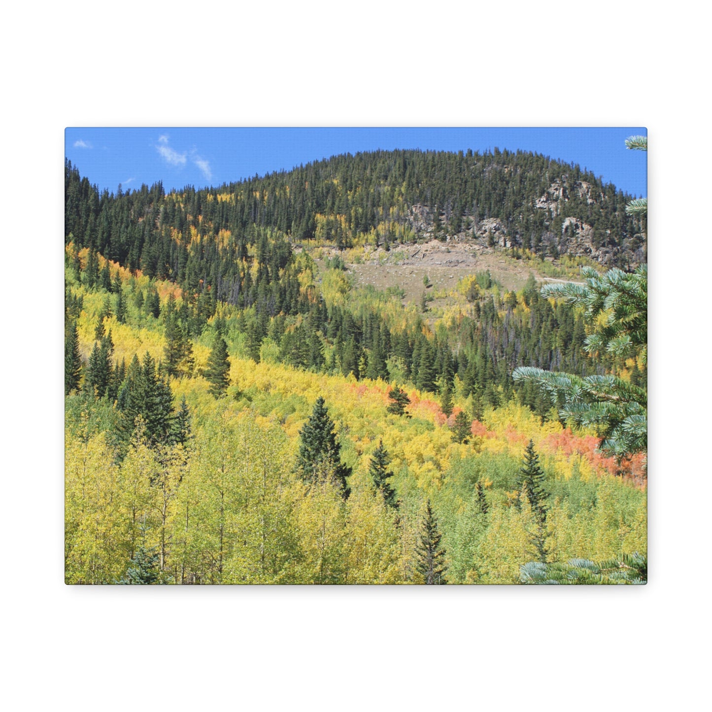 Guanella Pass Colorado Fall Colors Mountain Canvas
