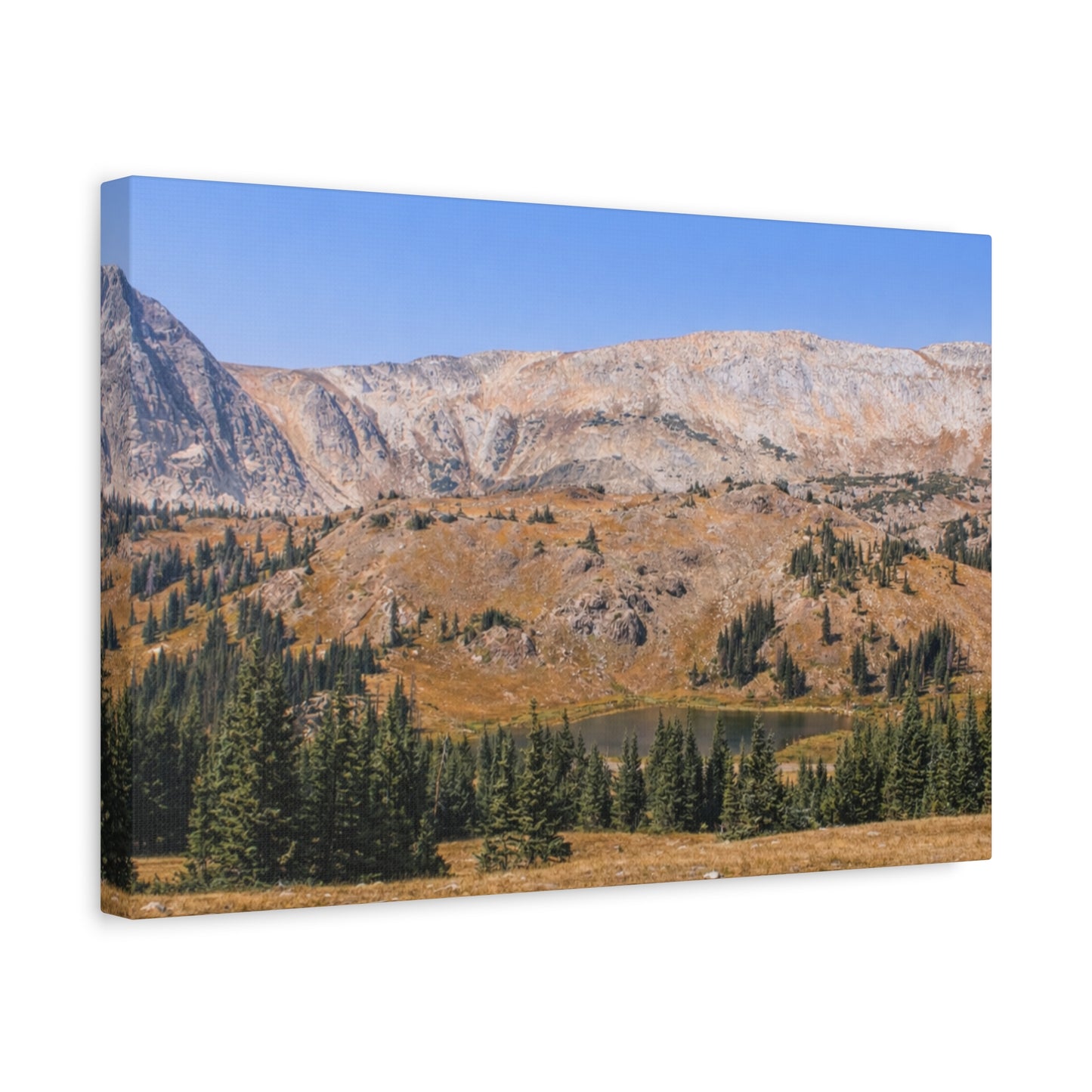 Snowy Range Wyoming  Matte Canvas Print - Stretched 1.25" Wall Art