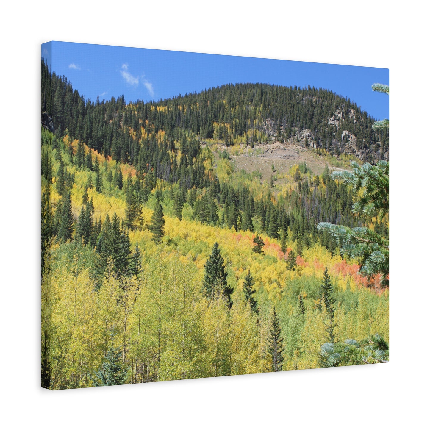 Guanella Pass Colorado Fall Colors Mountain Canvas