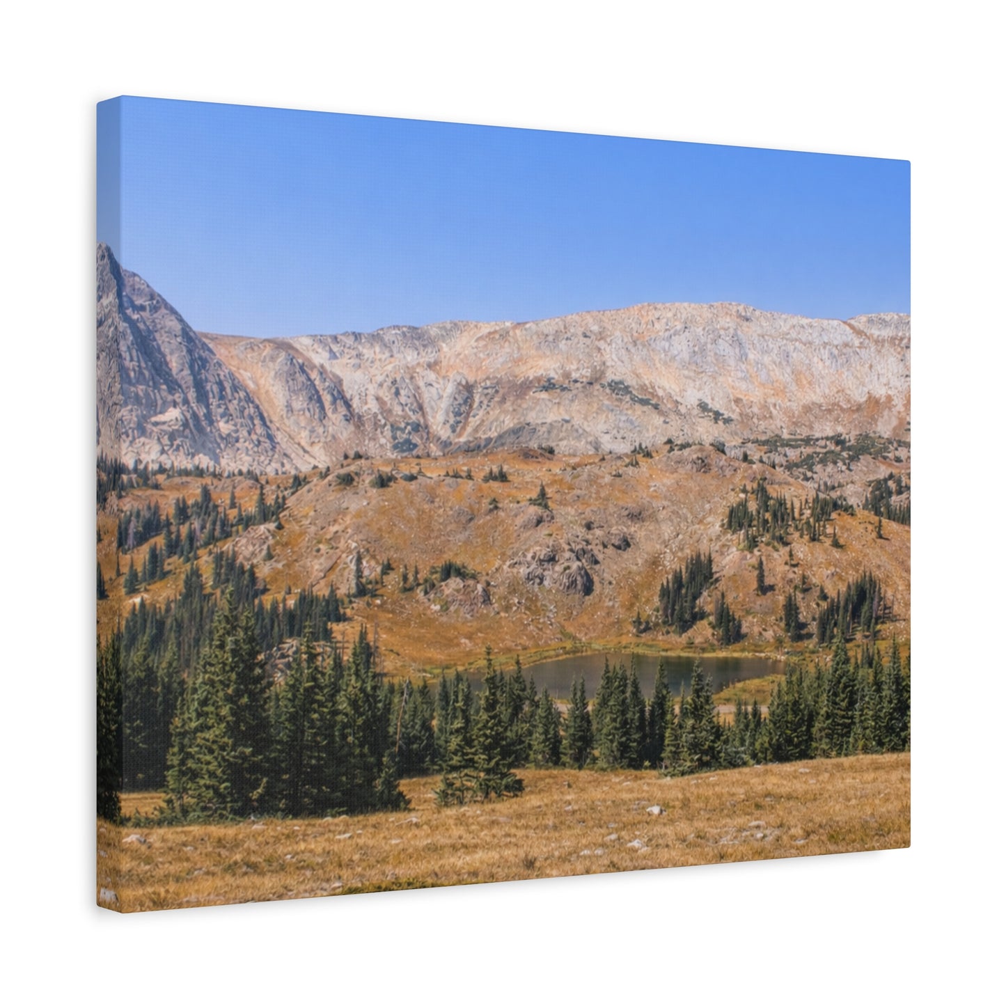 Snowy Range Wyoming  Matte Canvas Print - Stretched 1.25" Wall Art