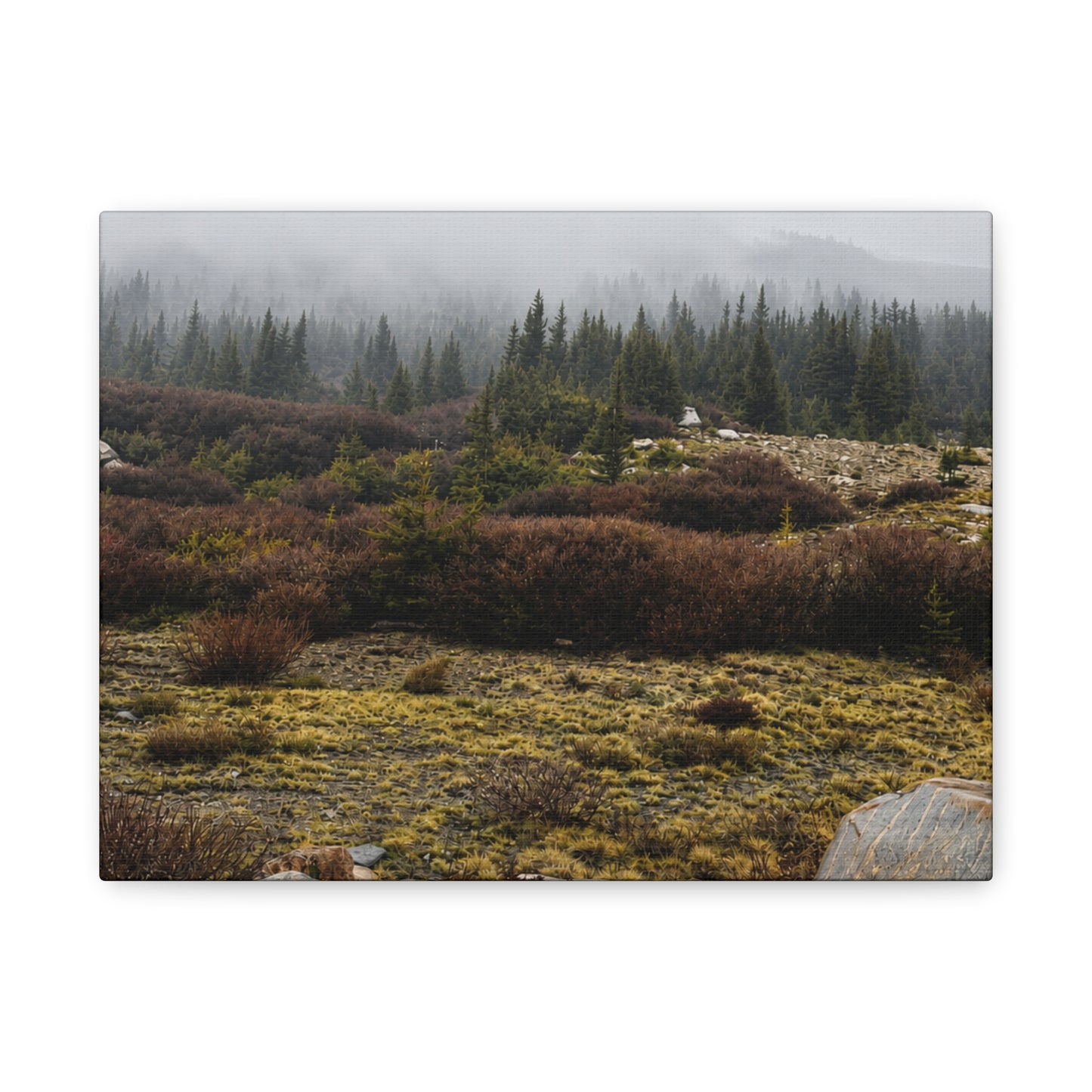 Misty Mountain Meadow Canvas Print — Stretched Matte Nature Wall Art