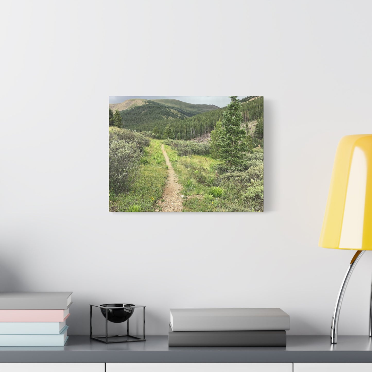 Independence Pass Colorado Trail Canvas Print — Scenic Hiking Landscape Wall Art