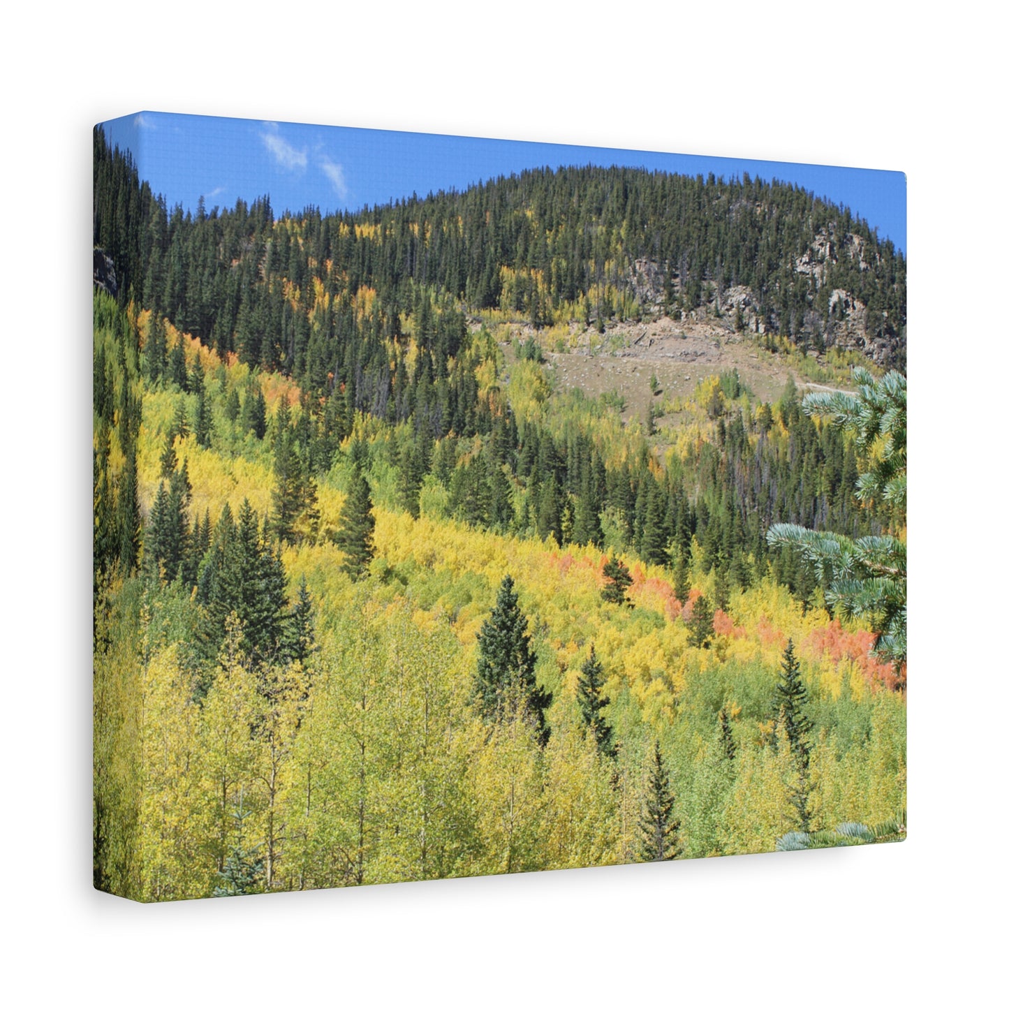 Guanella Pass Colorado Fall Colors Mountain Canvas