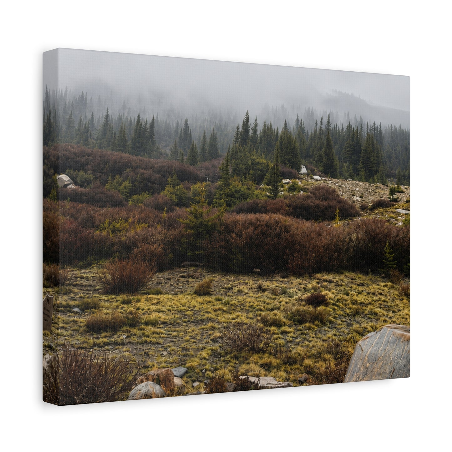 Misty Mountain Meadow Canvas Print — Stretched Matte Nature Wall Art