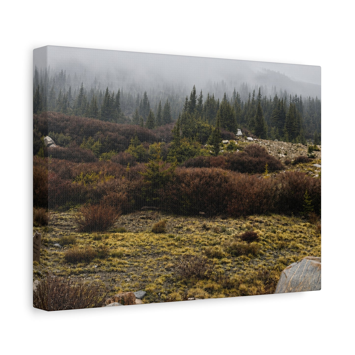 Misty Mountain Meadow Canvas Print — Stretched Matte Nature Wall Art