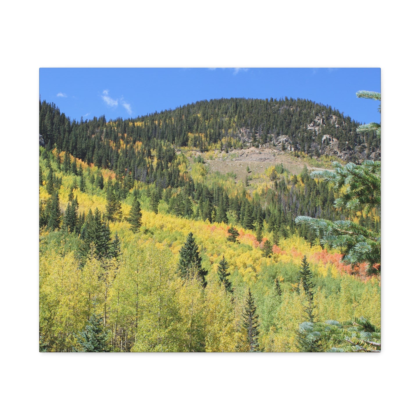 Guanella Pass Colorado Fall Colors Mountain Canvas