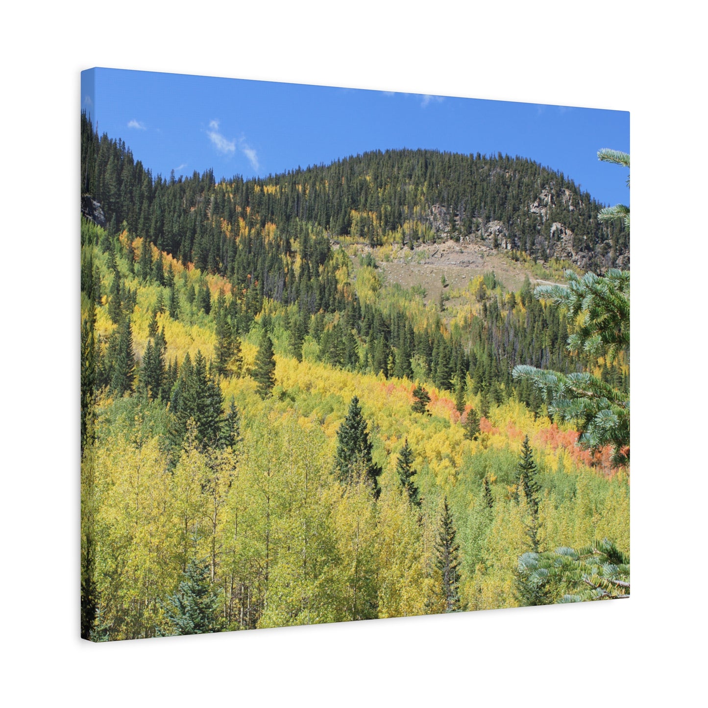 Guanella Pass Colorado Fall Colors Mountain Canvas