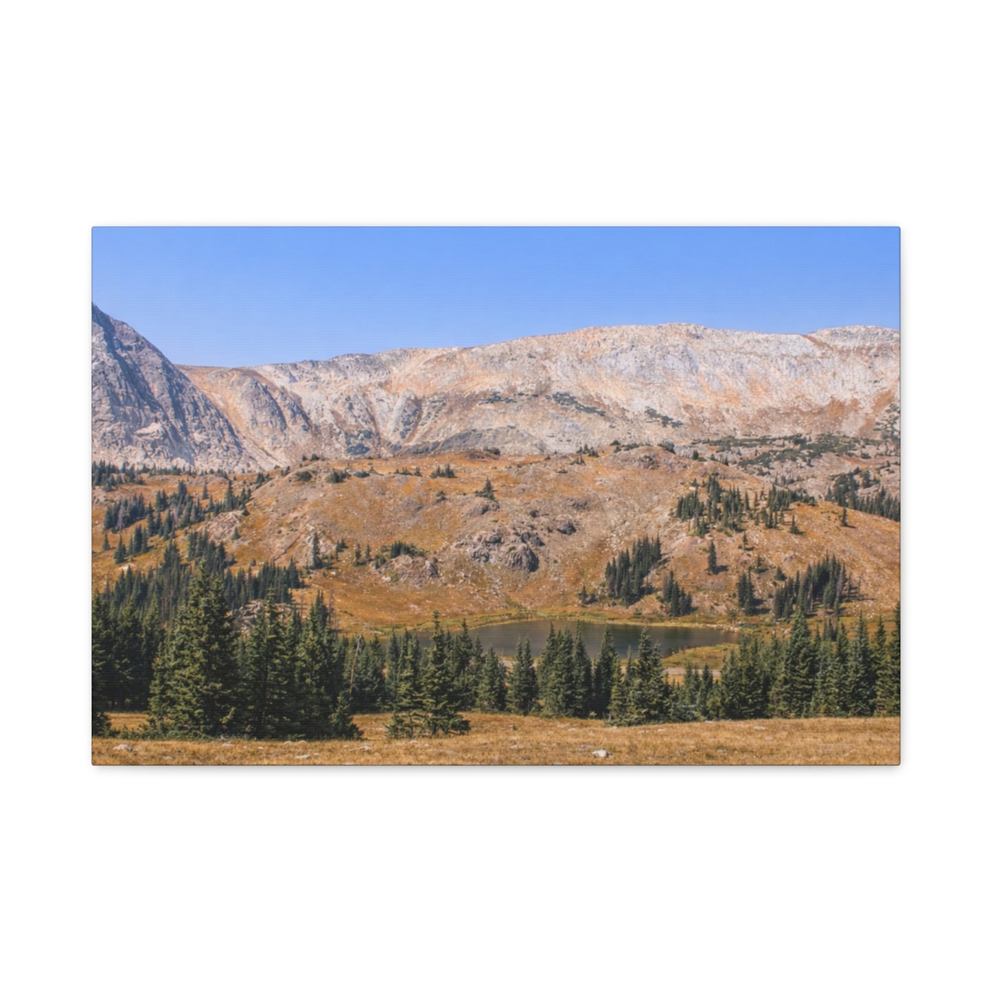 Snowy Range Wyoming  Matte Canvas Print - Stretched 1.25" Wall Art