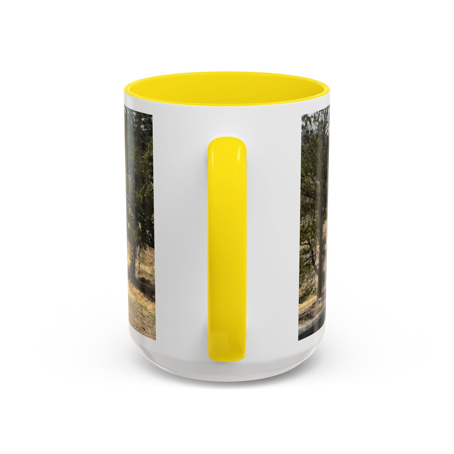 Empire Colorado Mountains Accent Coffee Mug — Scenic Pine Forest & Rustic Fence 11oz/15oz