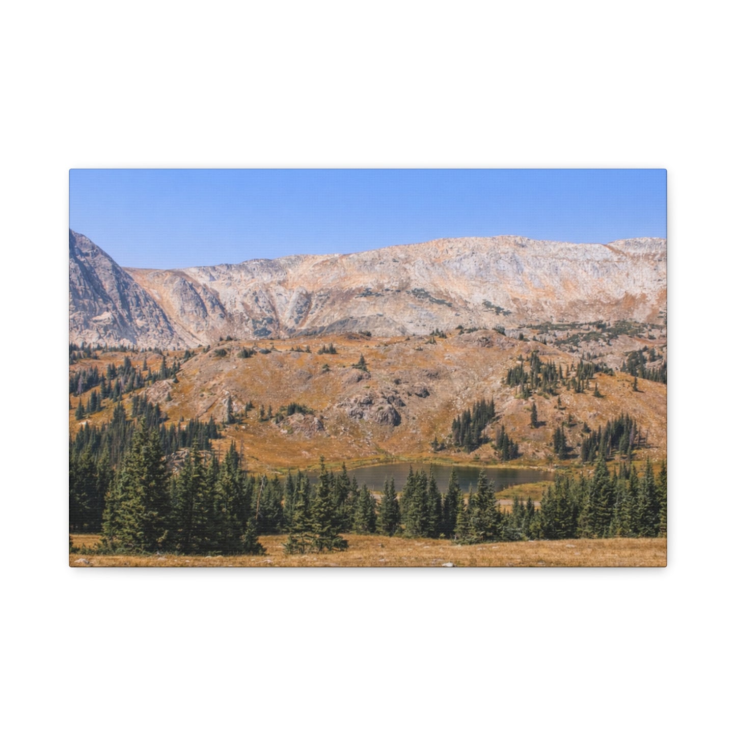 Snowy Range Wyoming  Matte Canvas Print - Stretched 1.25" Wall Art