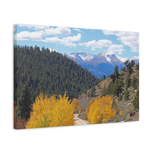 Weston Pass Colorado Fall Colors Mountain Road Matte Canvas Wall Art