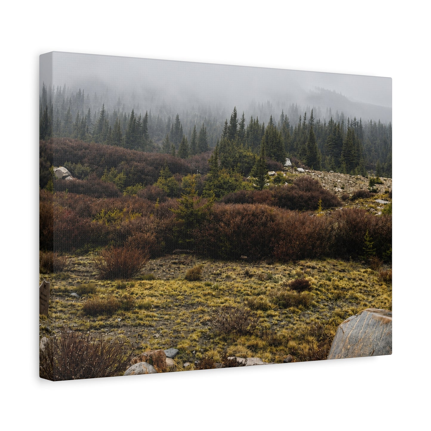 Misty Mountain Meadow Canvas Print — Stretched Matte Nature Wall Art