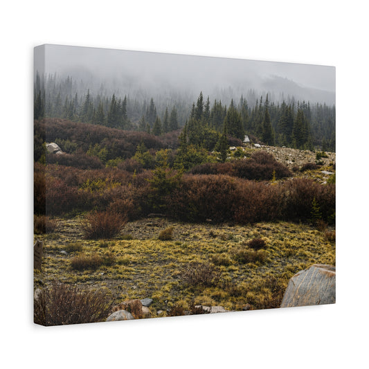 Misty Mountain Meadow Canvas Print — Stretched Matte Nature Wall Art