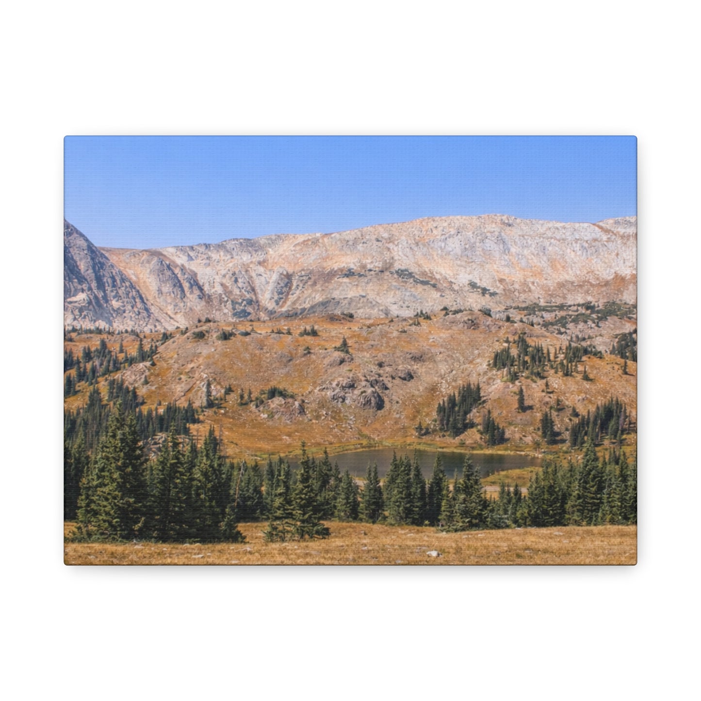 Snowy Range Wyoming  Matte Canvas Print - Stretched 1.25" Wall Art