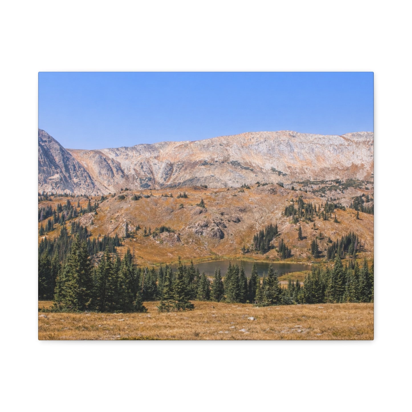 Snowy Range Wyoming  Matte Canvas Print - Stretched 1.25" Wall Art