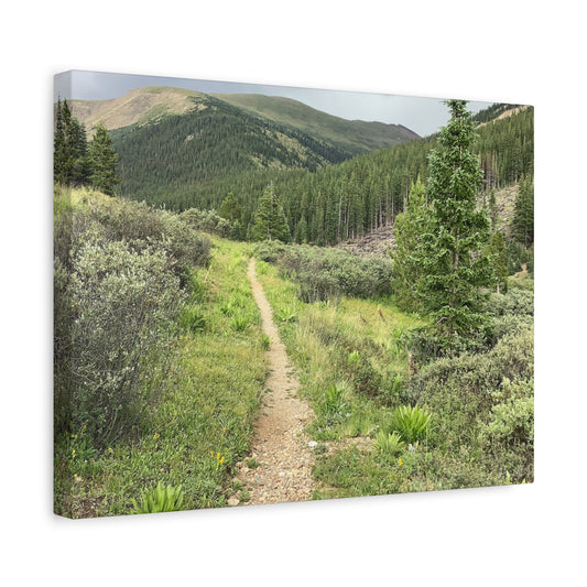 Independence Pass Colorado Trail Canvas Print — Scenic Hiking Landscape Wall Art
