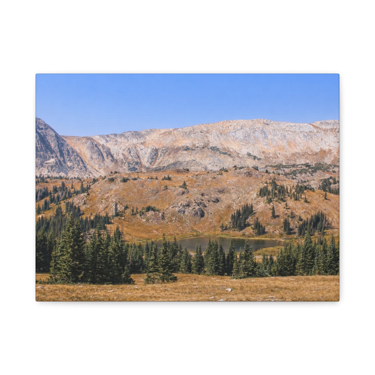 Snowy Range Wyoming  Matte Canvas Print - Stretched 1.25" Wall Art