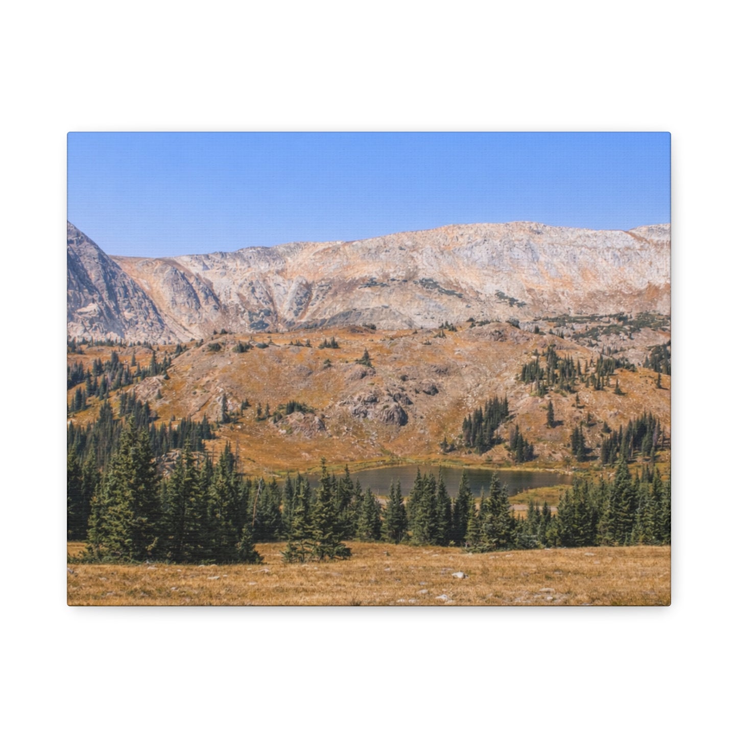 Snowy Range Wyoming  Matte Canvas Print - Stretched 1.25" Wall Art