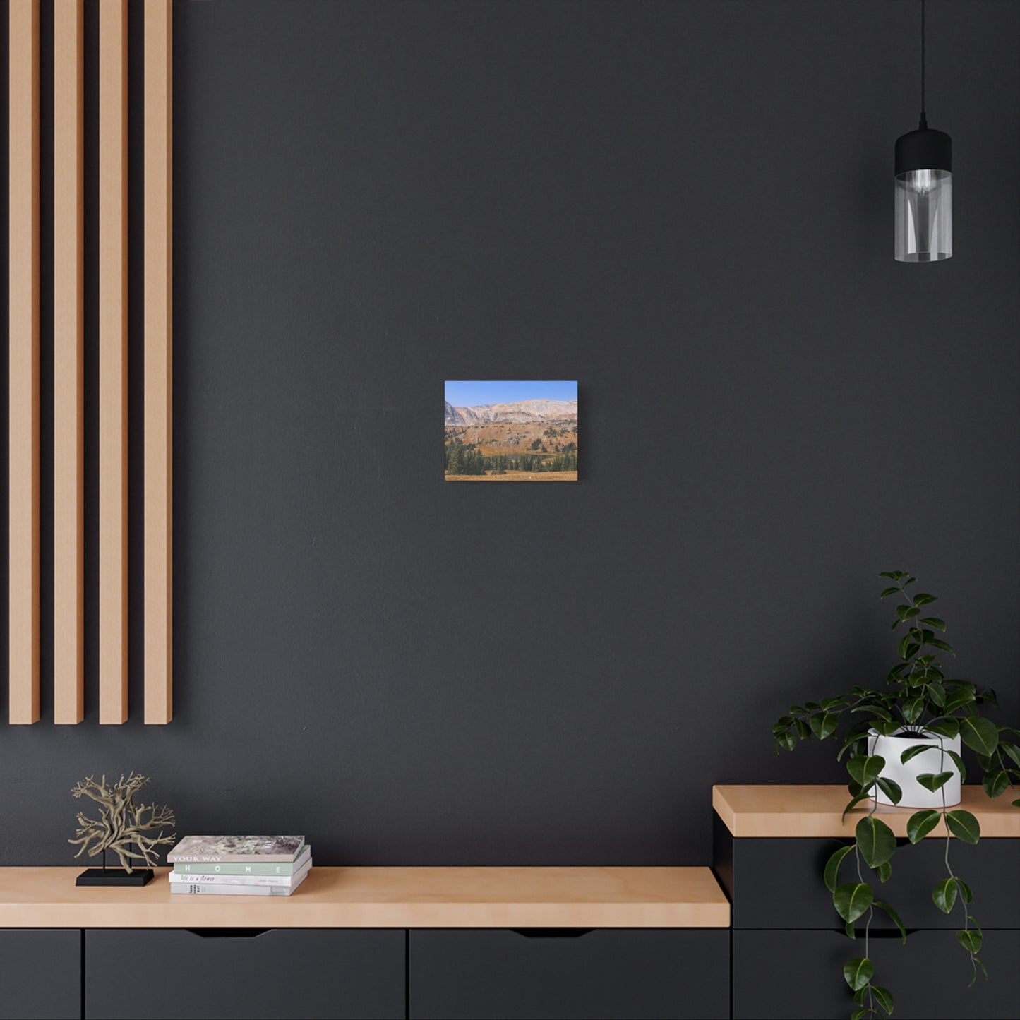 Snowy Range Wyoming  Matte Canvas Print - Stretched 1.25" Wall Art