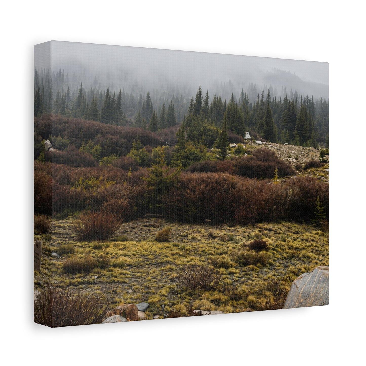 Misty Mountain Meadow Canvas Print — Stretched Matte Nature Wall Art