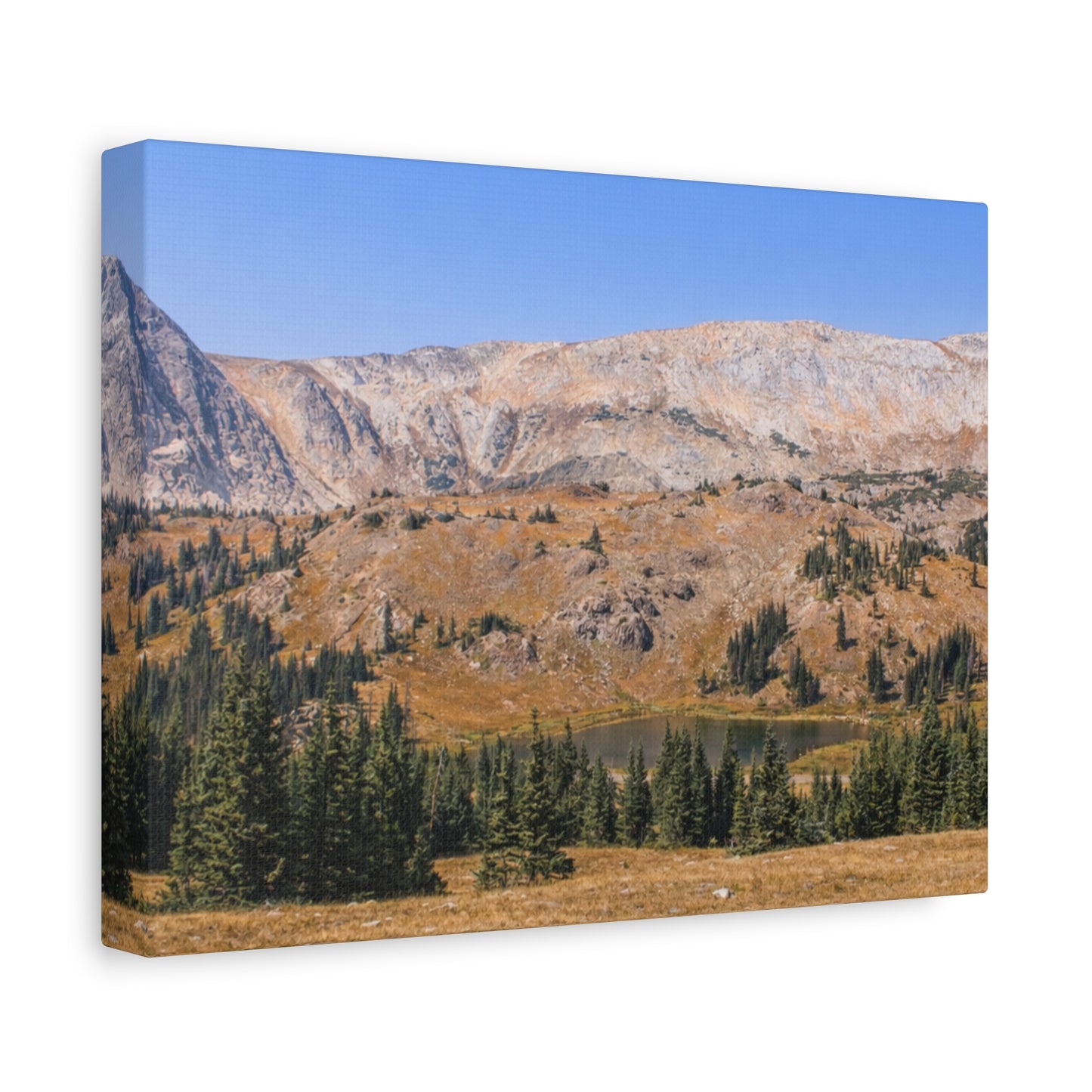 Snowy Range Wyoming  Matte Canvas Print - Stretched 1.25" Wall Art