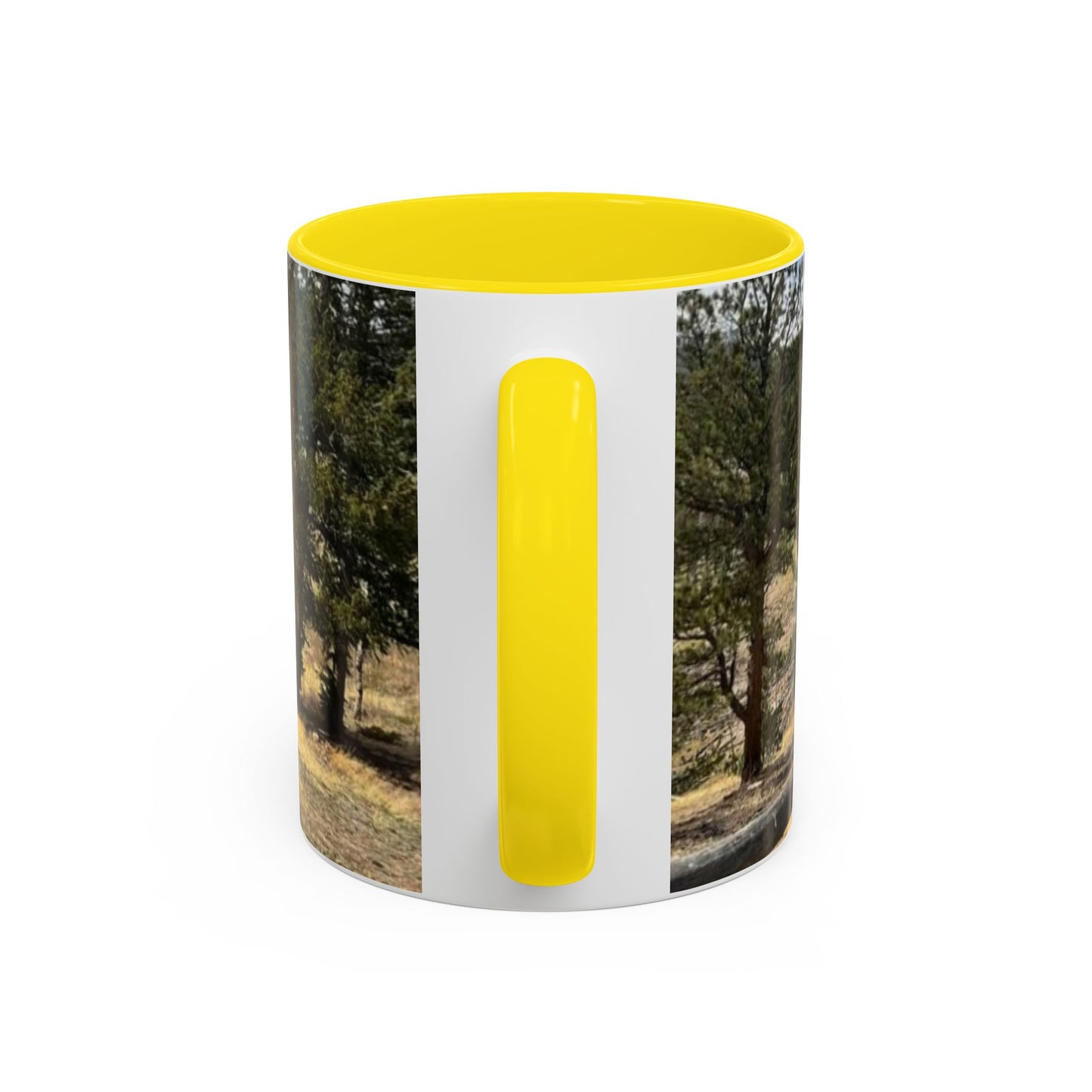 Empire Colorado Mountains Accent Coffee Mug — Scenic Pine Forest & Rustic Fence 11oz/15oz