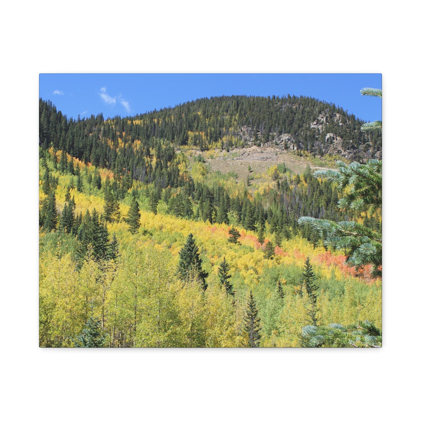 Guanella Pass Colorado Fall Colors Mountain Canvas