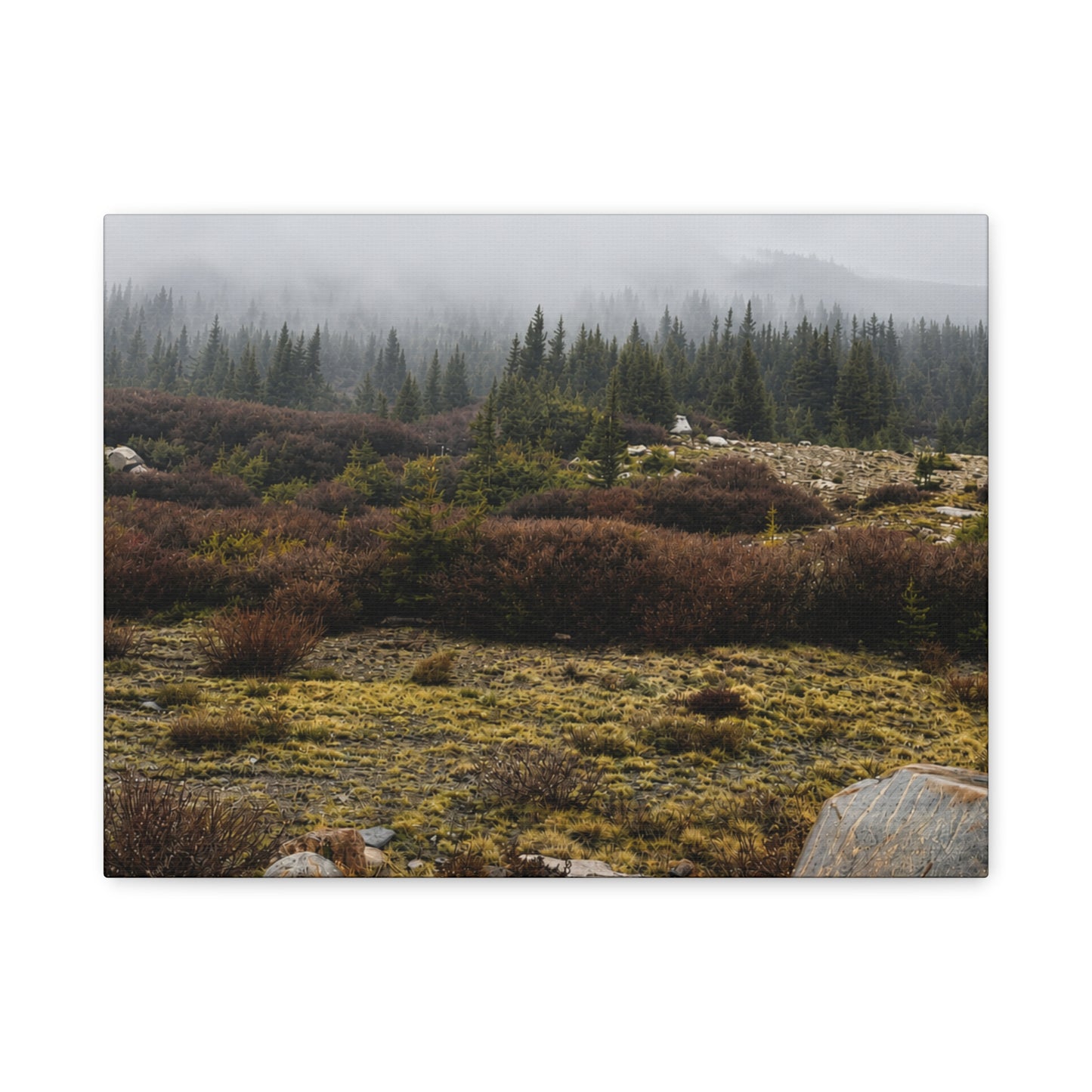 Misty Mountain Meadow Canvas Print — Stretched Matte Nature Wall Art