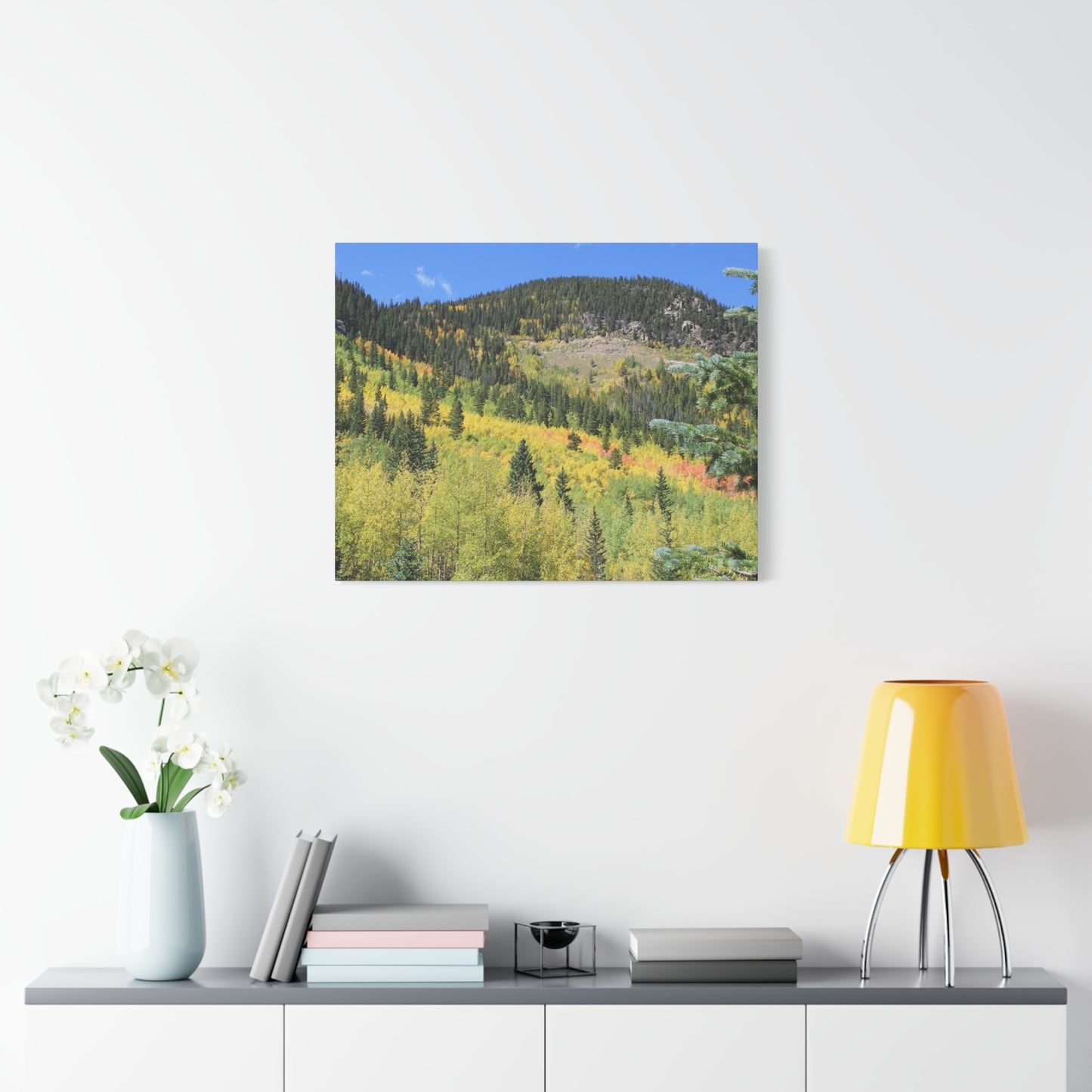 Guanella Pass Colorado Fall Colors Mountain Canvas