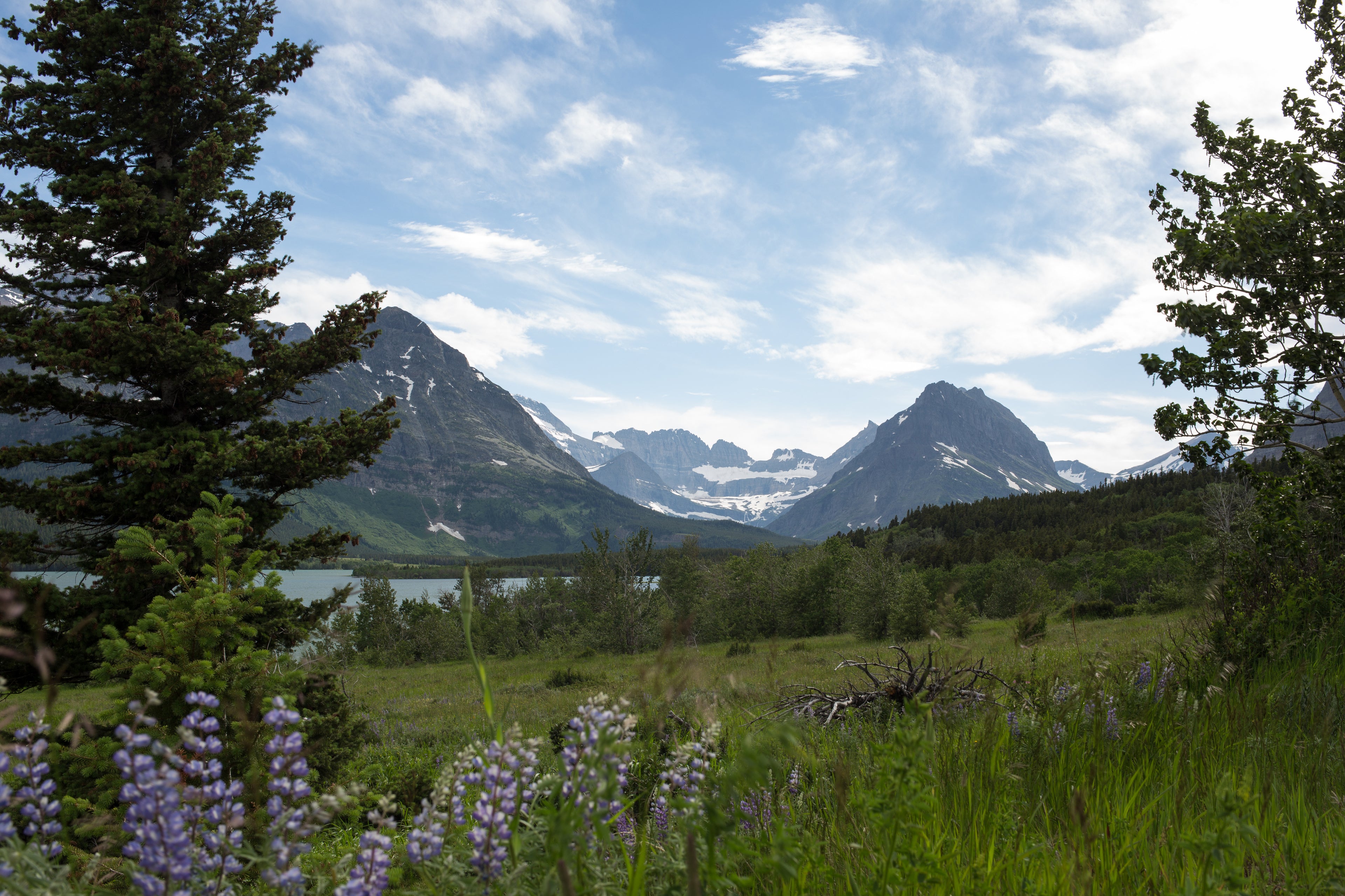 Mountain landscape with wildflowers – DriftRange outdoor apparel